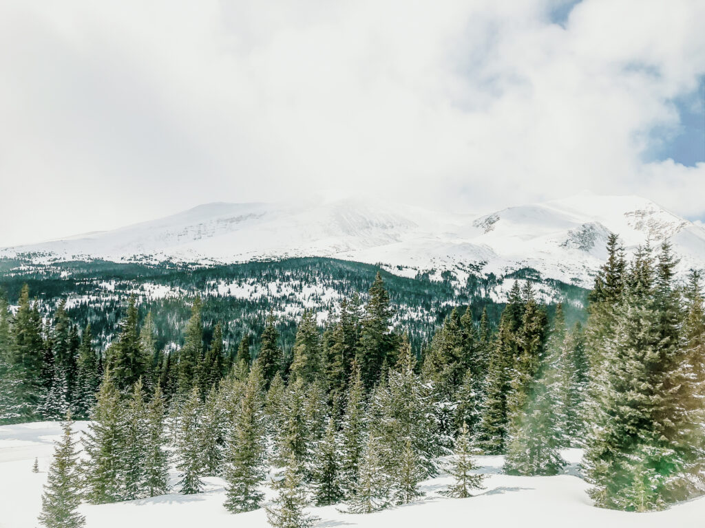 Snow Covered Colorado Elopement